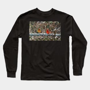 Winter Male and Female Cardinals Sitting On A Fence In A Snowstorm Long Sleeve T-Shirt